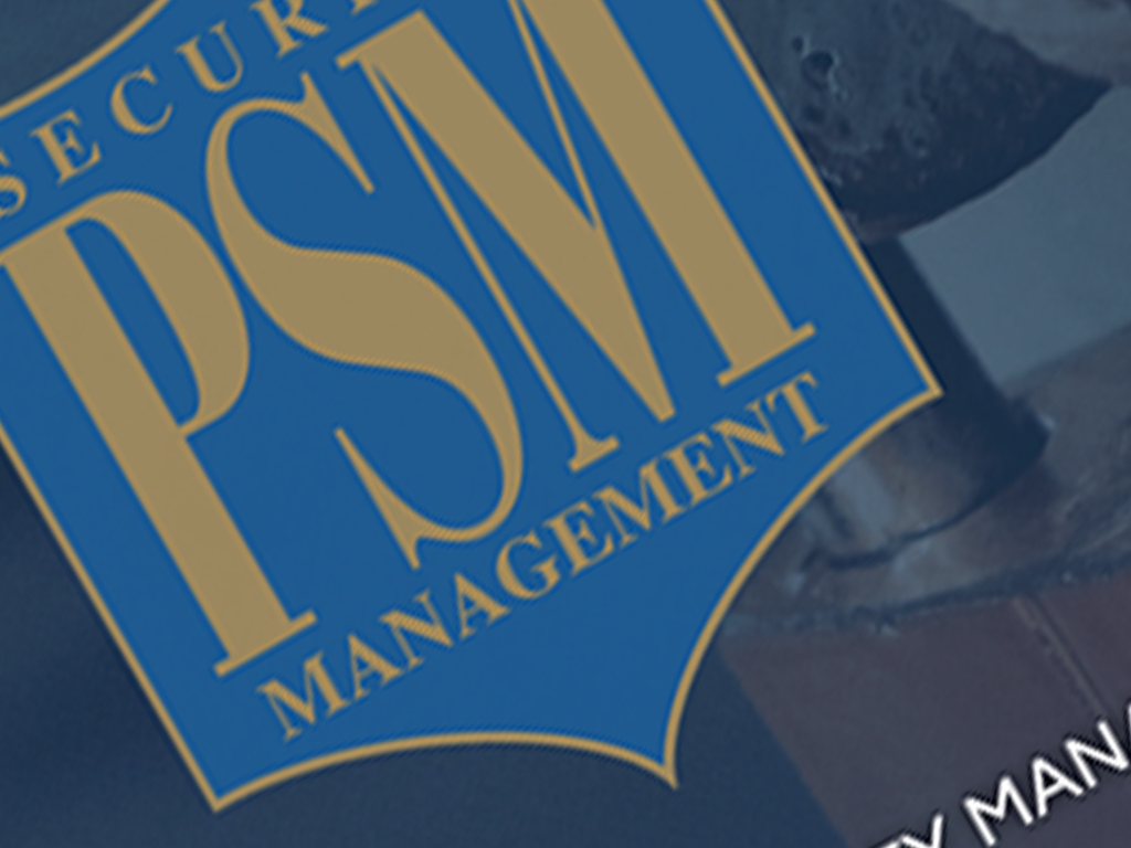 Website development. Professional security management services.